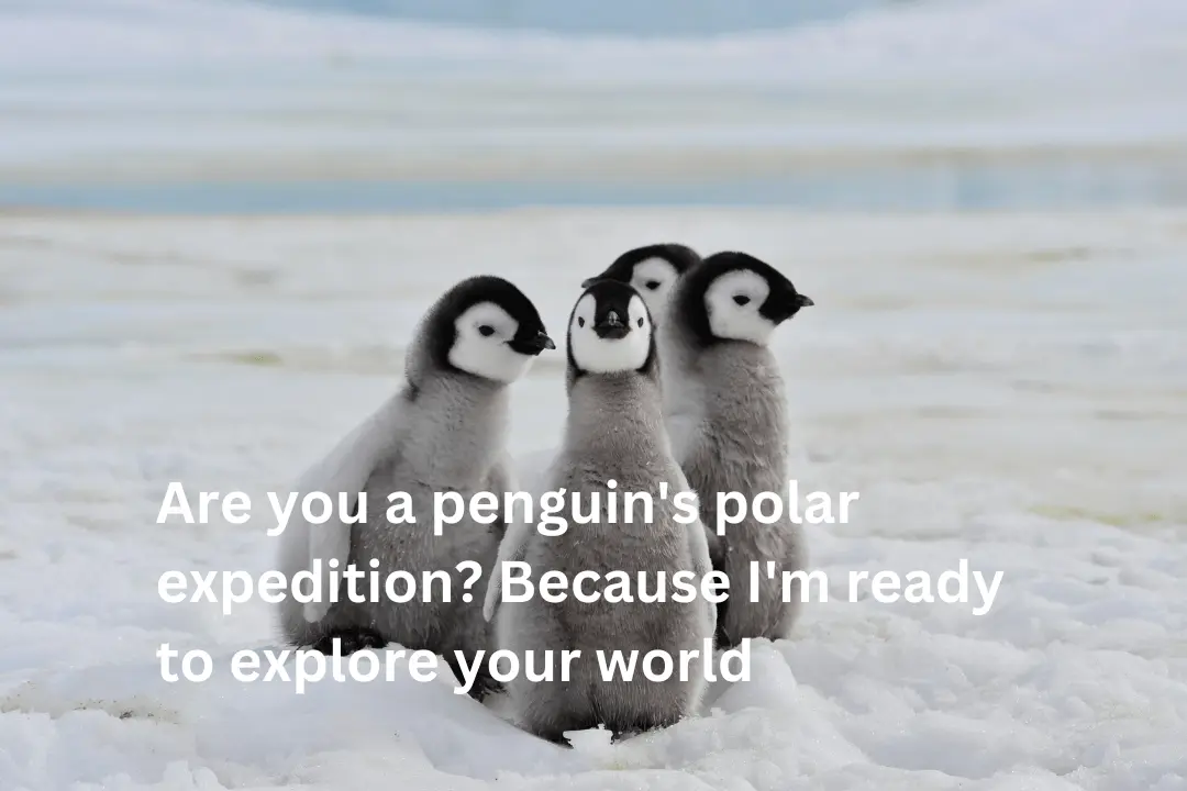 Penguin Pick Up Lines